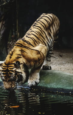 Explore Natural Wonders